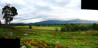Hugh and Maggie Smith and their children would have seen this view of Strathspey, with Cairngorms in background, from their house.  September 2013. Stitched with Autostitch demo version. (http://www.cs.bath.ac.uk/brown/autostitch/autostitch.html)