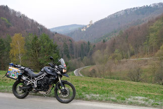 Vor der Burgruine Thernberg