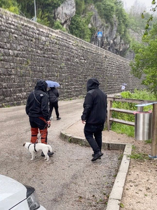 Susi und Tatti warten mit Hannes im Regen auf mich 