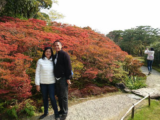 　　　　　　　　Enkianthus in Isuien Garden