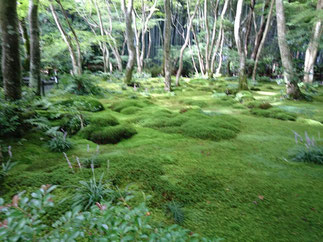 西芳寺