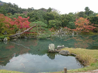 　　　　　Autumn leaves of Tenryu-ji temple