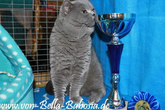 Romeo, 2 Jahre alt