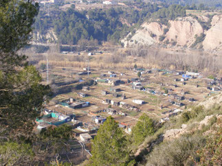 Orchards in front of Migmón Fault (Súria)