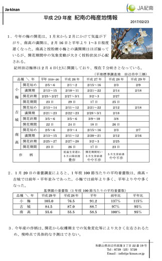 ＪＡ紀南 H29梅産地情報【2/23】