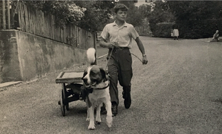 Abb.5: Auch Hunde transportierten Milchkannen. Bernhard Steiger auf der Gallus Steigerstrasse, 1960er-Jahre.