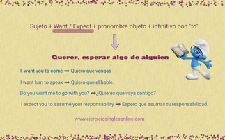 Estructuras con want / expect en inglés