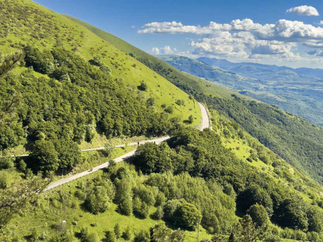 Grüne Lunge: Auf der Fahrt von Castelluccio nach Norcia balanciert die Bergroute an den Flanken des Nationalparks der »Monti Sibillini « entlang.