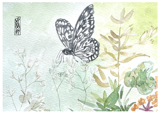 carole giboni artiste cartes artisanales grandes cartes de voeux cartes aquarelles série spéciale artisanat art artiste saone et loire borgogne acheter des cartes d'artiste aquarelles 