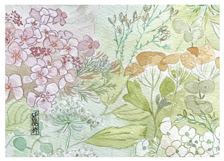 carole giboni artiste cartes artisanales grandes cartes de voeux cartes aquarelles série spéciale artisanat art artiste saone et loire borgogne acheter des cartes d'artiste aquarelles 