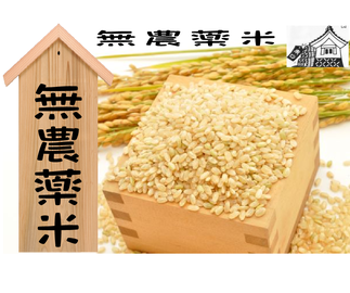 メルメル20キロ精米あり KENTEX マリンGMT ブルー メタルベルト／ MARINE GMT Blue Metal