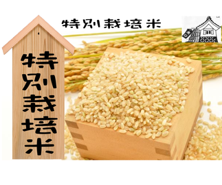 ぴかみみ　標準精米小分け 71XtoA0iMXL._UF350,350_QL80_.jpg
