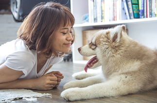 犬とコミュニケーションをとる方法