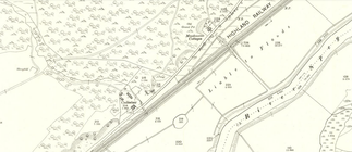 Meadowside (not Meadowside Cottages), where Smith children lived from 1907, is 100 yards north east of Coilintuie. OS 25 inch, surveyed 1869, revised 1899, Inverness-shire sheet LXXXVII.8. Reproduced with permission of the National Library of Scotland. 