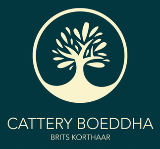 Cattery Boeddha (Brits Korthaar)