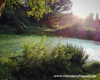 Teich im Wald, Elfenteich, magischer Teich, magischer Ort, Kraftquelle