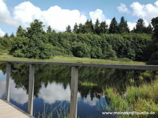 Moorsee Hoherodskopf, Waldsee