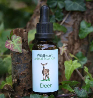 30ml - CHF 36.00