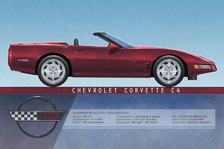 1995 - 1996 Corvette Convertible