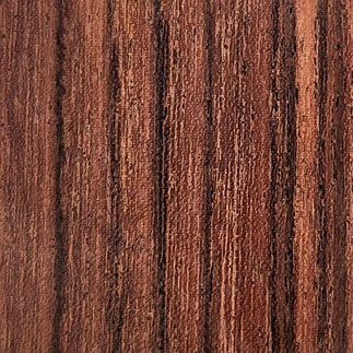 Nahaufnahme Hainbuchenholz: Mit einer Farbigkeit von cremeweiß bis hellbeige