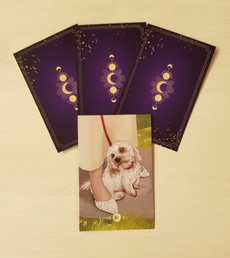 Lenormand Orakel Karte - Der Hund