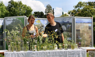 Ausstellung mit Blütenpflanzenquiz (Bild: K. Weddeling)