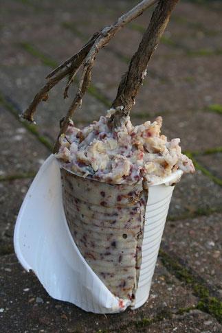 Futterknödel am Stiel Vogelfütterung Füttern Vogel Futterkuchen selbst gemacht basteln selber gebastelt Ast Talg Fettfutter