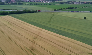 Tornado track west of Bockenem, visible only via drone