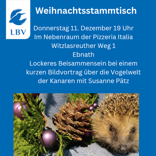 Foto: Ramona Schröppel