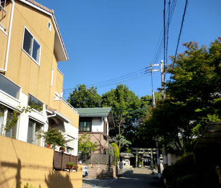 左の黄色いのおうちに“いちご”が・・。正面は、阿比太(あびた)神社。