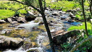 Rierol a la vall de Campcardós