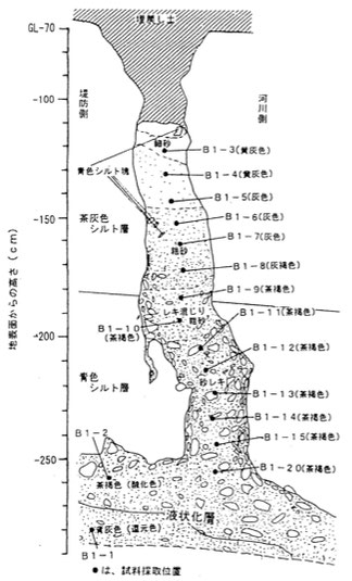 図6　砂脈内でのサンプルの位置（中村ほか，1998）