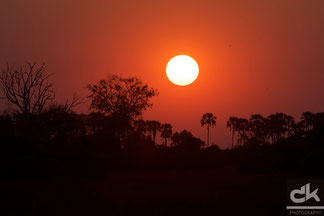 Sonnenuntergang beim Tubu Tree Camp
