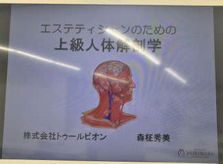 モリマサエステスクール上級解剖学 名古屋講座