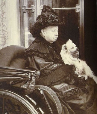 Queen Victoria Gina Spitz Pomeranian