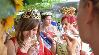 Bernburger Weinmarkt Ende August