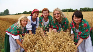 Mähbindern macht Neugierig auf Erntefest