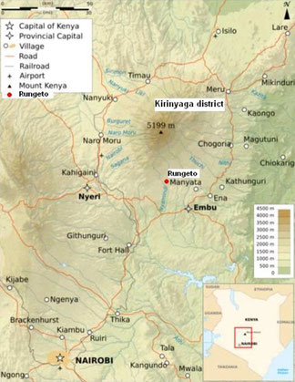 Pilotstandort für macadamiafans: Rungeto am Mt. Kenya