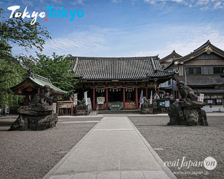 本日の浅草神社：2020年5月15日(金) AM8:24