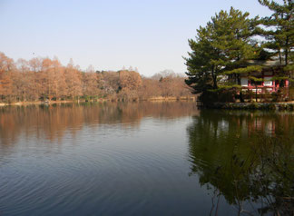 三宝寺池