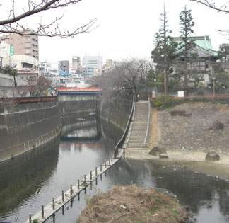 金剛寺(もみじ寺)