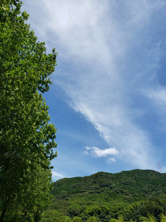 母方のお墓がある場所から見た空