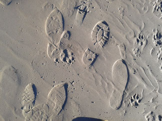 Christa Weßel 2016 Traces