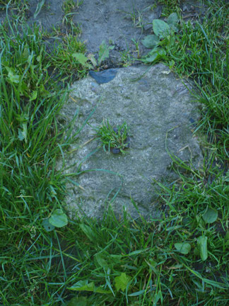 Beton Element aus einer längst vergessenden Zeit