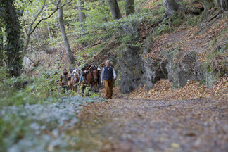 Reiten im Kalltal