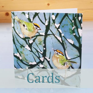 greeting card nature bird art