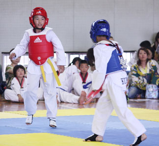 個人キョルギ 準優勝 田北歩夢選手