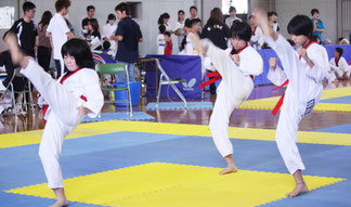 団体プムセ 準優勝