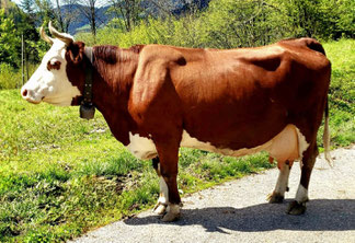Championne, 18 ans, 105 000 kg