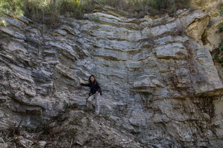 Gypsum quarry in Les Guixeres (Súria)